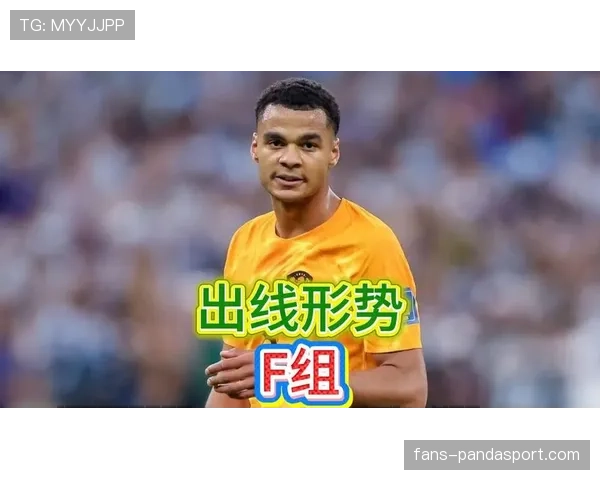 世界杯F组球队实力与出线关系